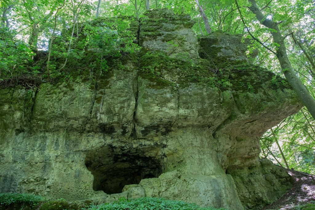 Photo №4 of Plankenstein