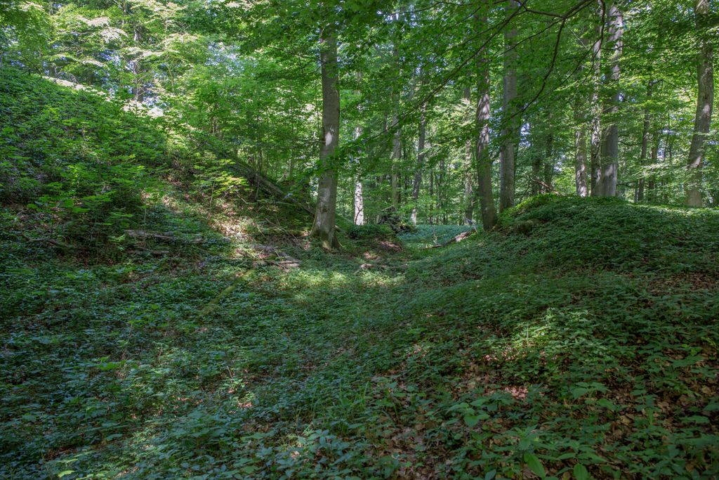 Photo №6 of Plankenstein