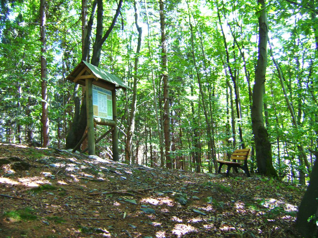 Photo №3 of Schlosshügel