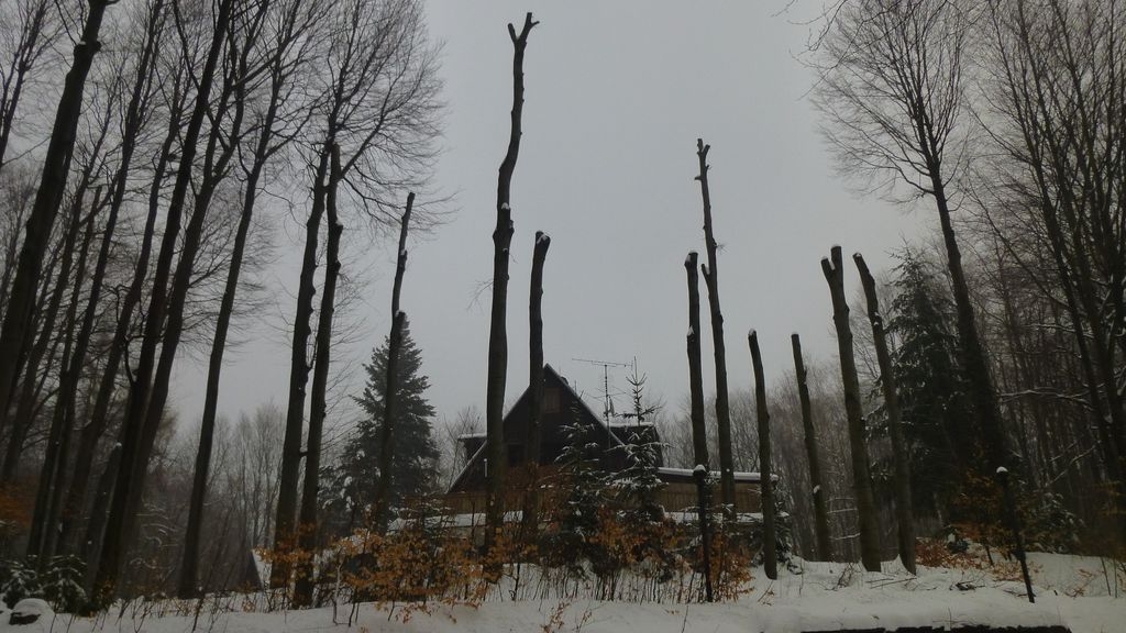 CHATA_OBKOLESEN%C3%81_KME%C5%87MI_-_panoramio