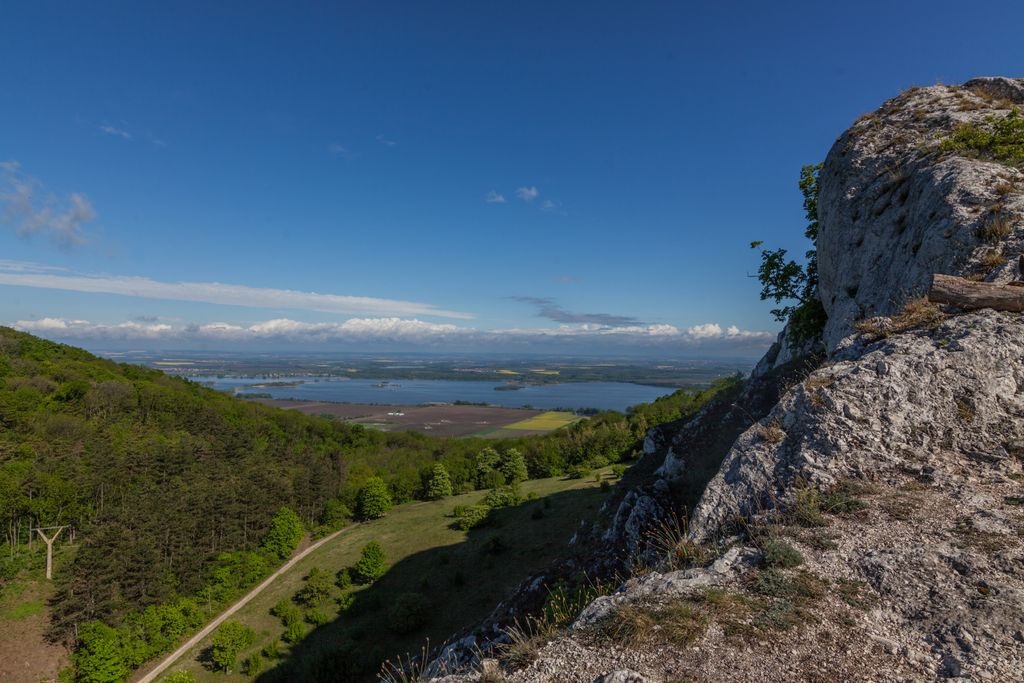 Dračí hlava