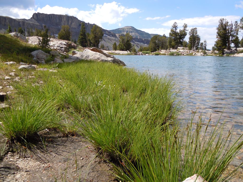 Basin Lakes