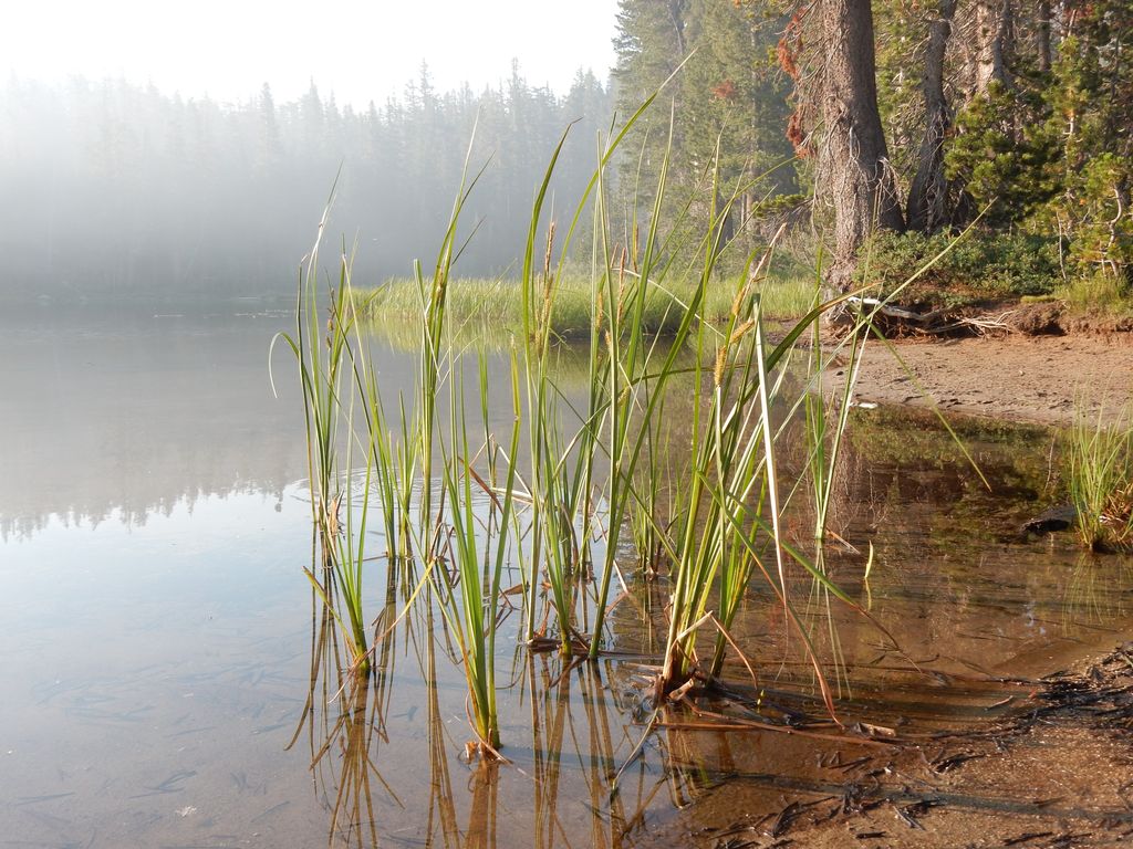 Gladys Lake