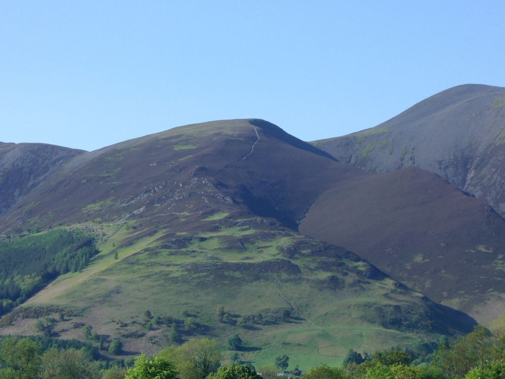 Photo №3 of Carl Side