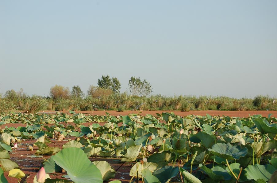 Photo №2 of Bandar-e Anzali