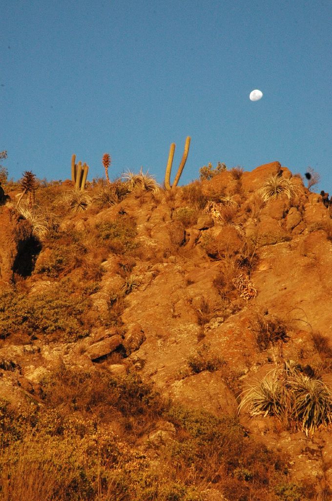 Photo №3 of Cerro Pochoco