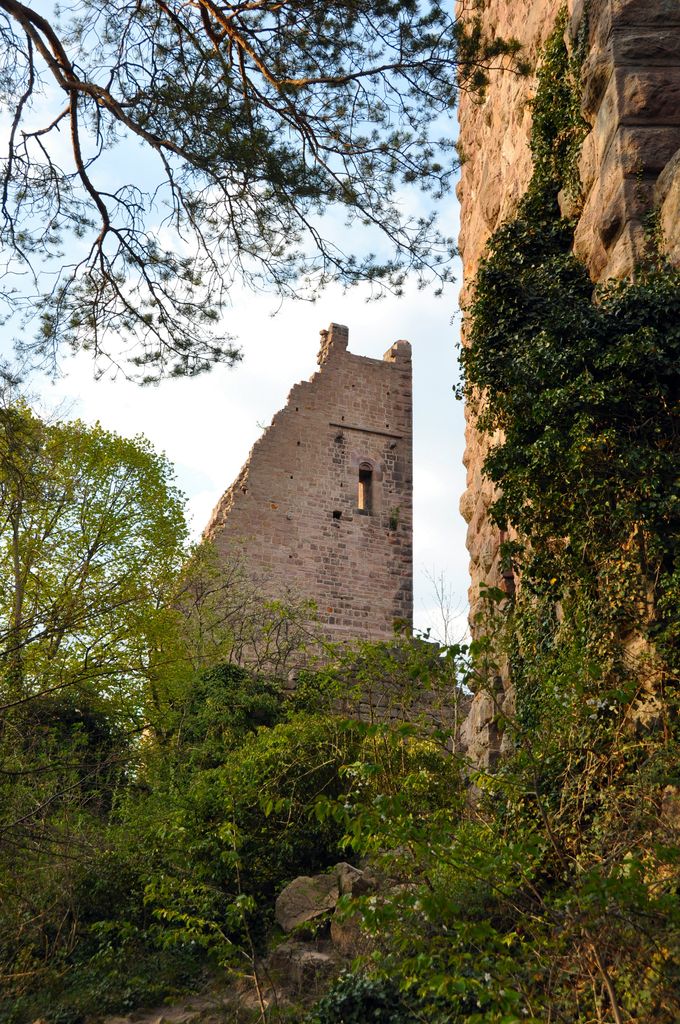 Photo №4 of Schlossberg
