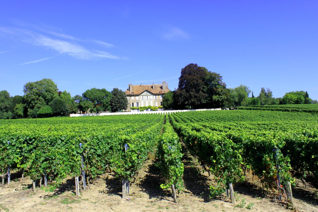 Photo №2 of Château de Mestral