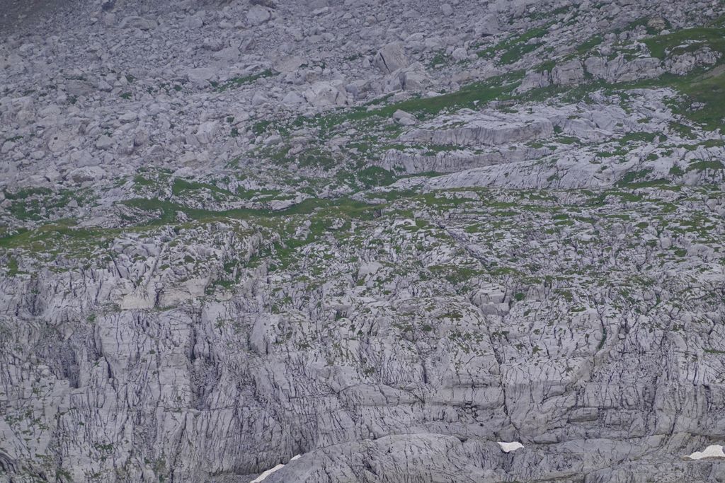 Photo №4 of Les Châteaux de Cran