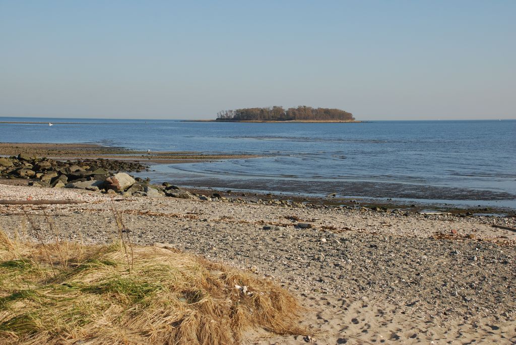 Photo №4 of Charles Island