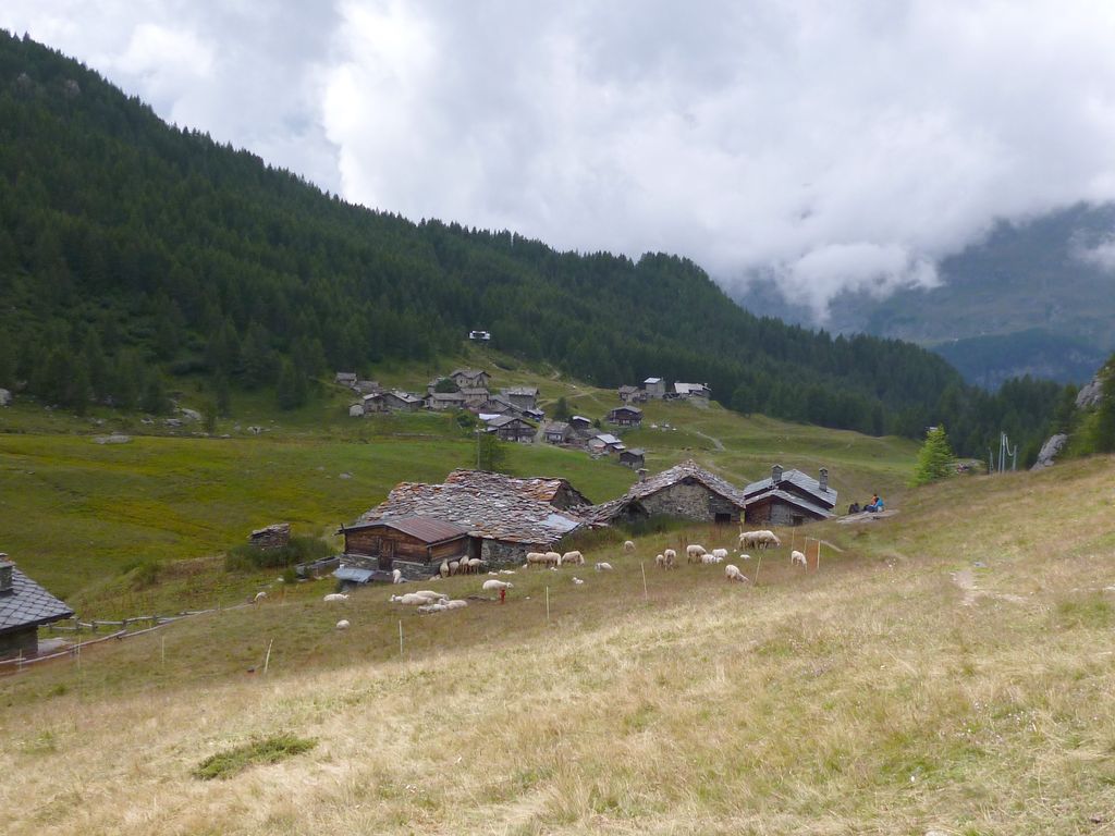 Photo №2 of Cheneil