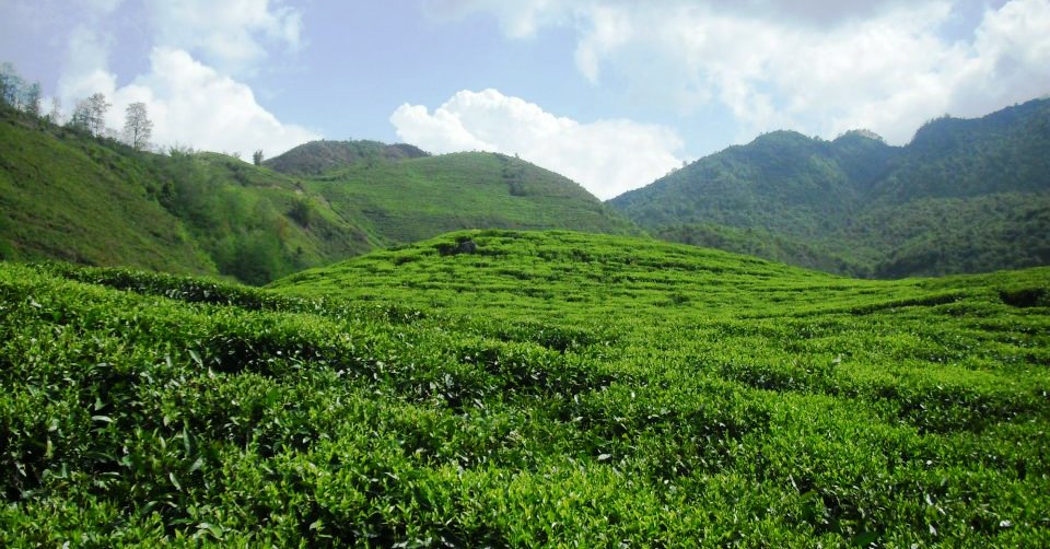 Photo №2 of Bhotechaur