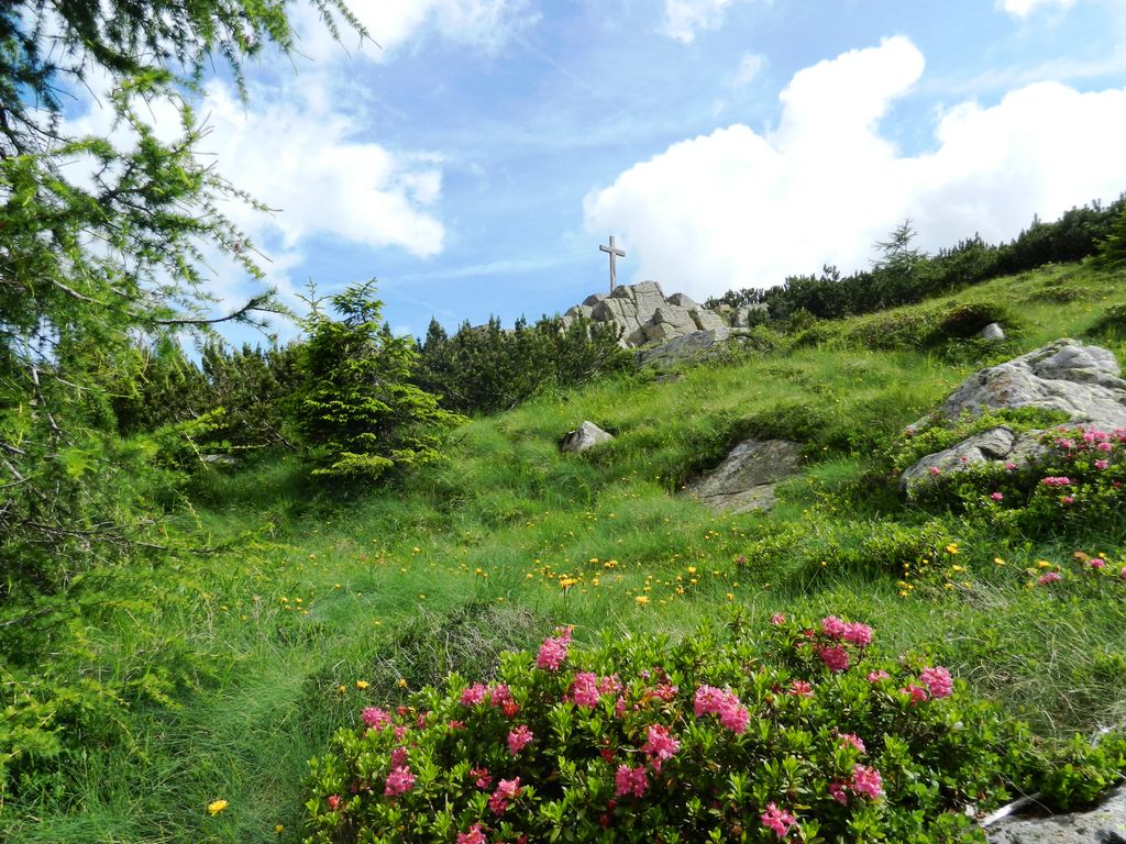 Photo №2 of Camin