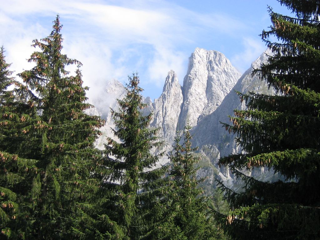 Photo №5 of Cimone della Bagozza