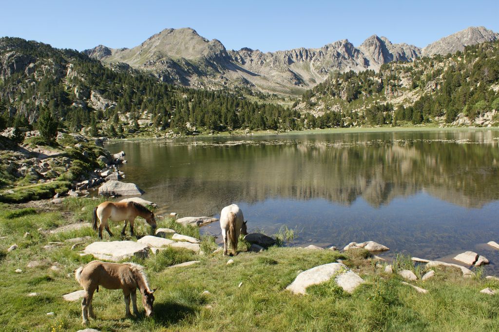 Photo №3 of Estany Primer