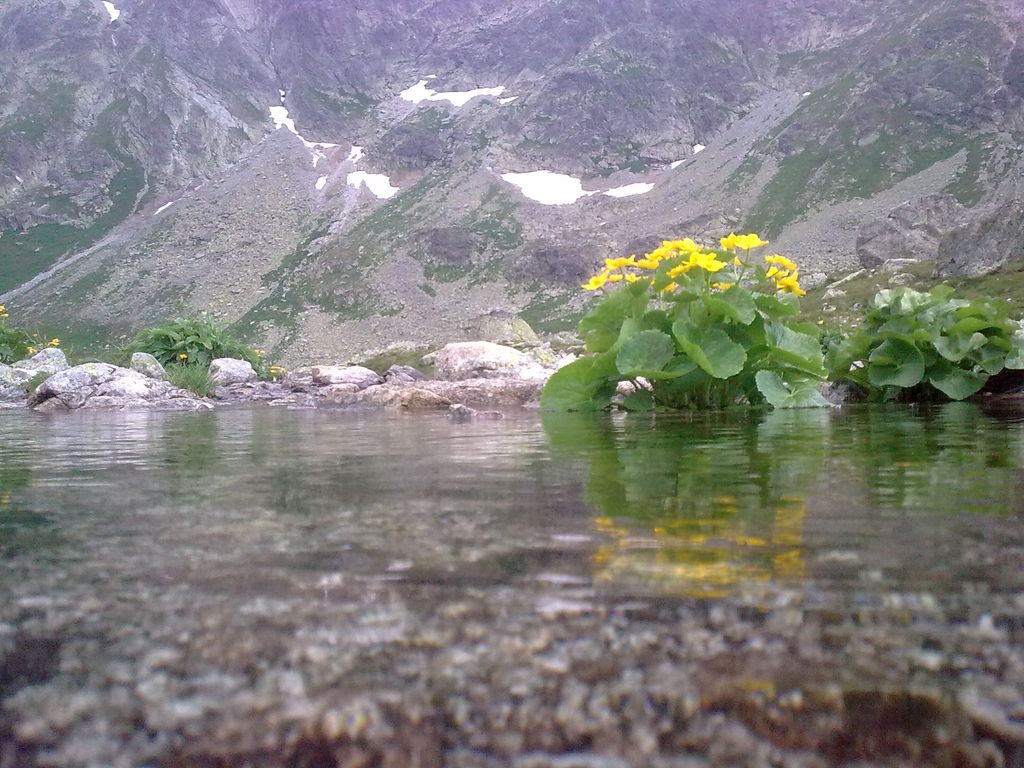 Photo №2 of Hincove oká