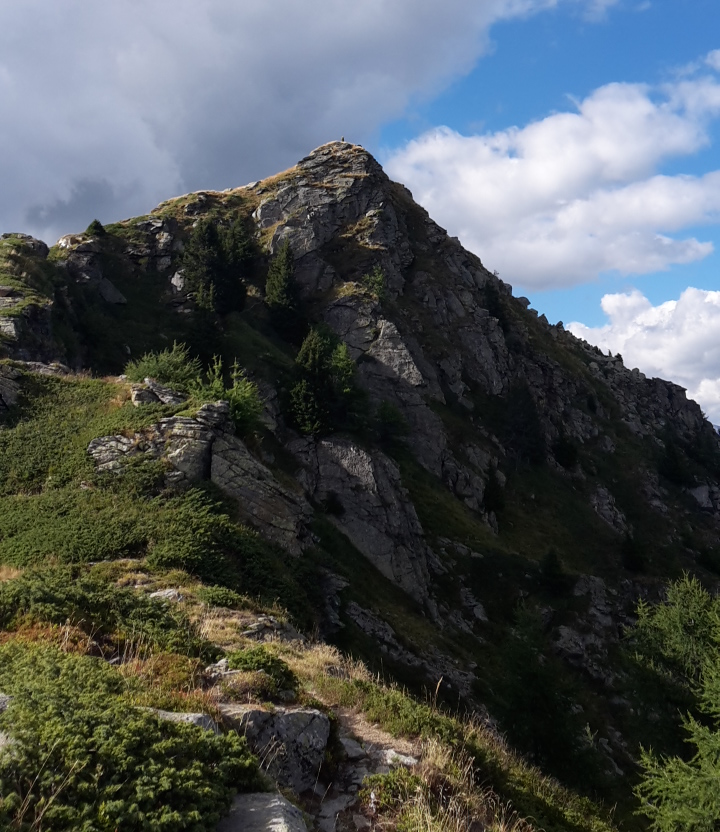 Photo №3 of Cogn