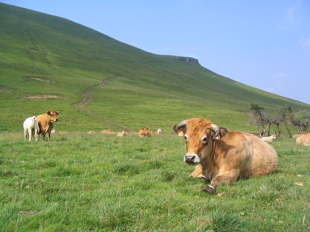Col de la Croix-Morand