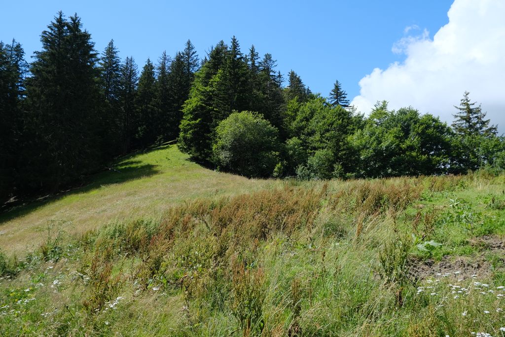 Photo №5 of Col du Fer