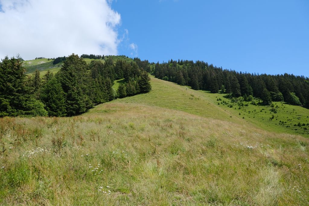 Photo №6 of Col du Fer