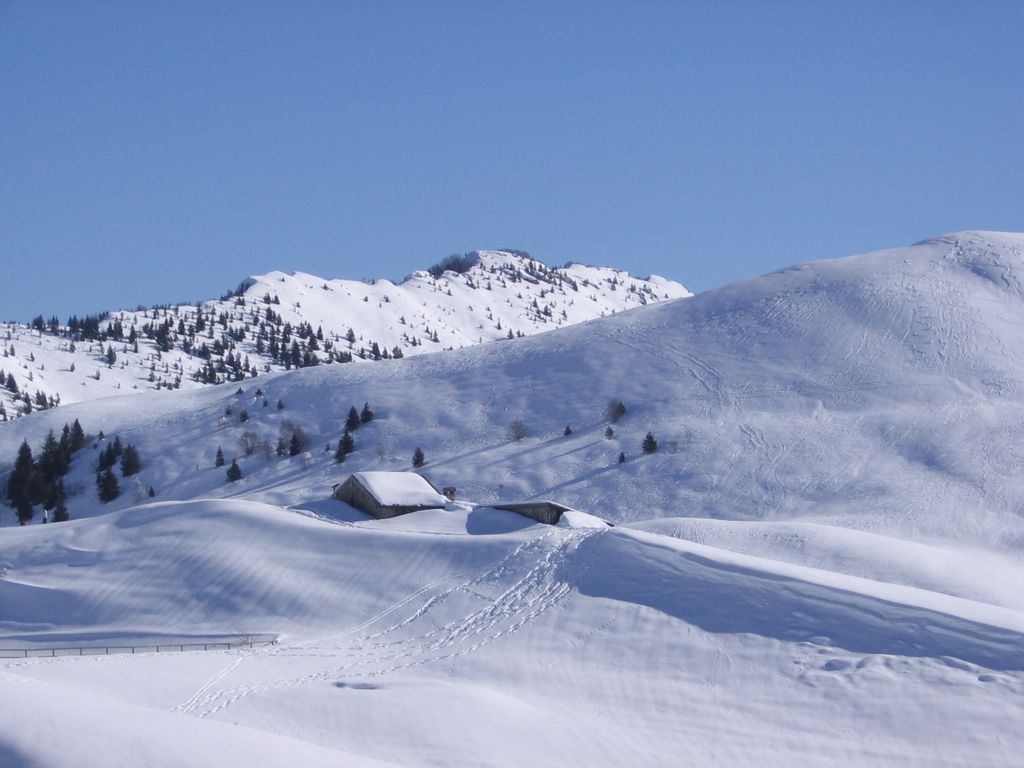 Photo №4 of Monte Farno