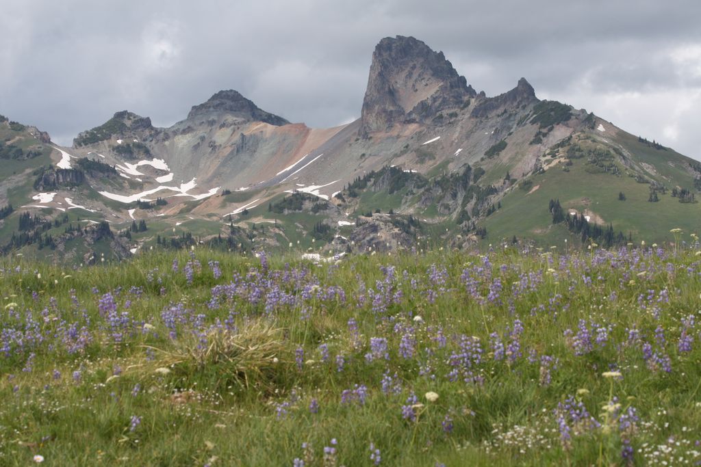 Photo №3 of Cowlitz Divide