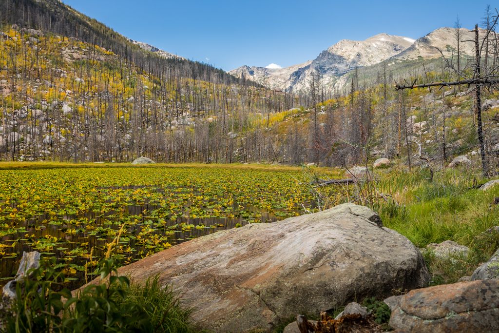 Photo №6 of Cub Lake