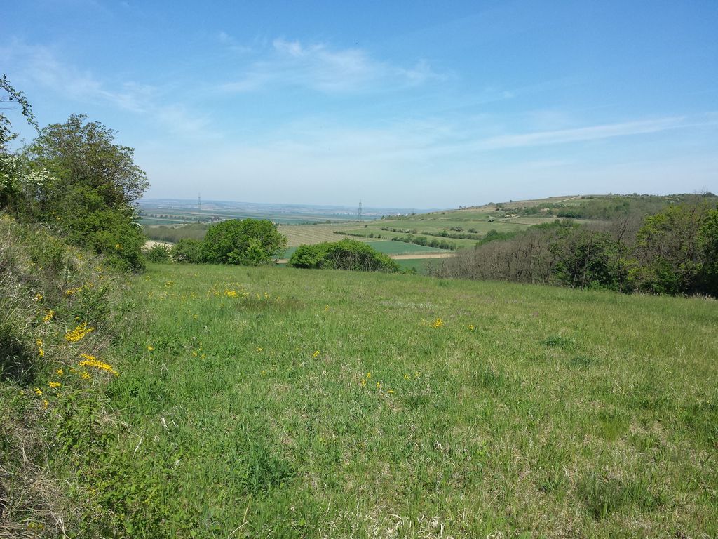 Photo №2 of Galgenberg