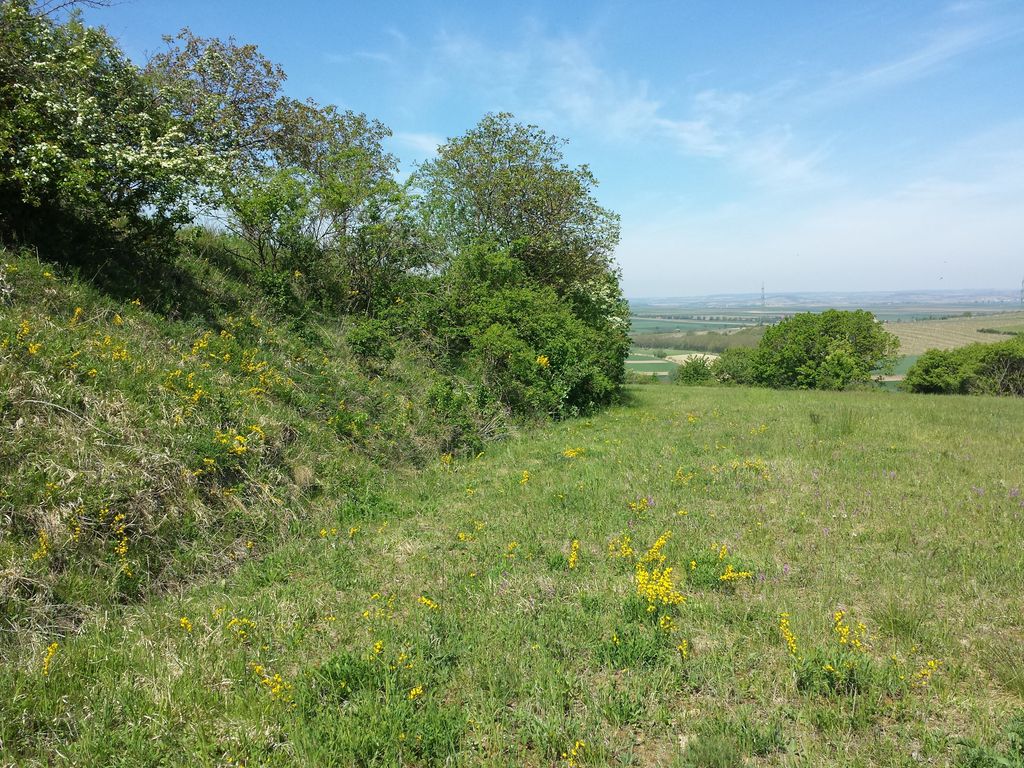 Photo №3 of Galgenberg
