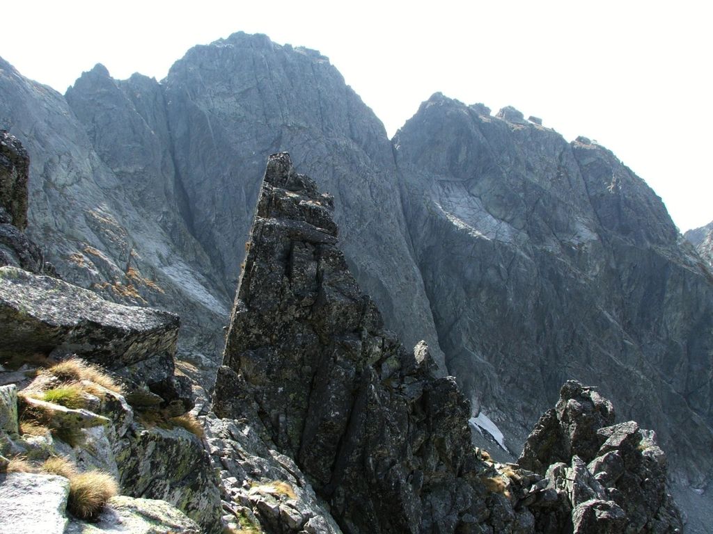 Photo №3 of Czarny Mniszek