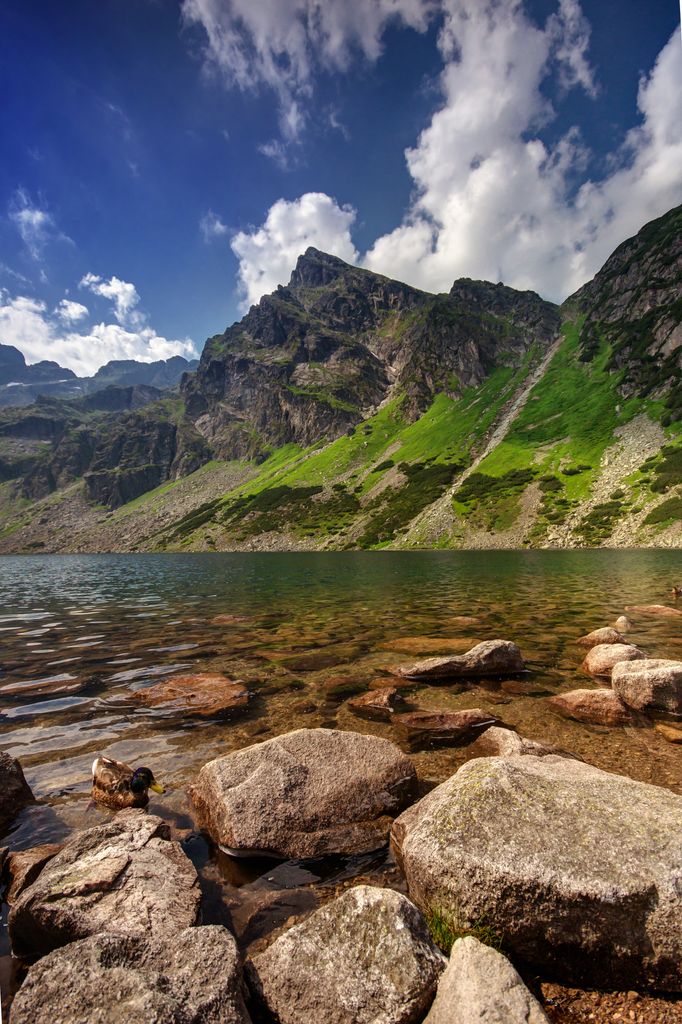Photo №4 of Karb