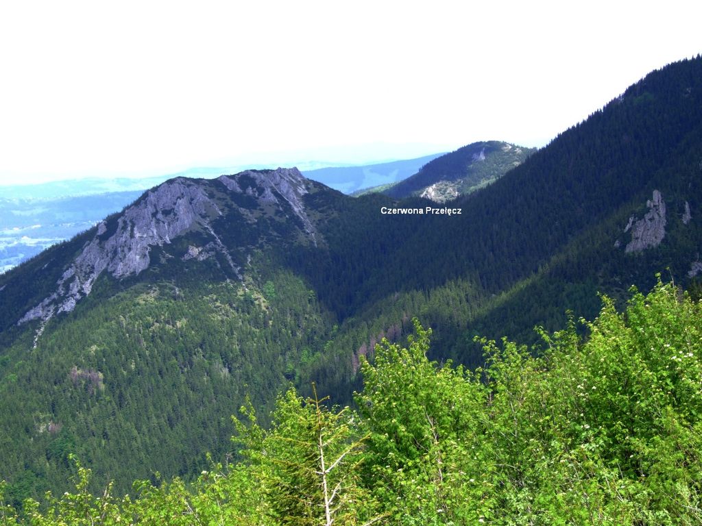Photo №4 of Czerwona Przełęcz