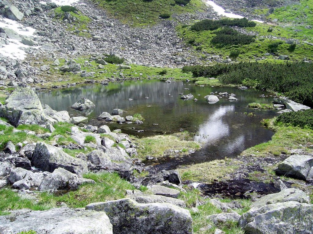 Photo №2 of Niżni Czerwony Stawek