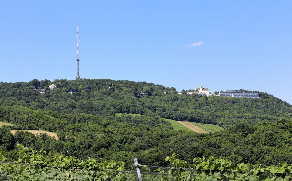 Photo №2 of Kahlenberg
