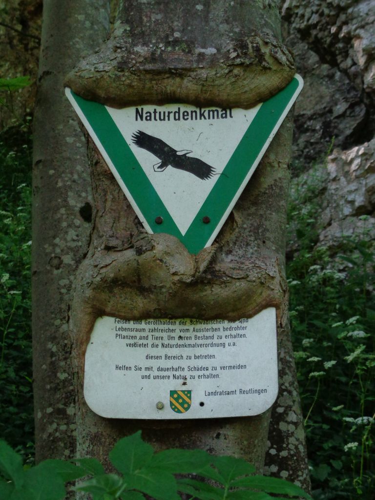 Photo №8 of Schwanbergfelsen