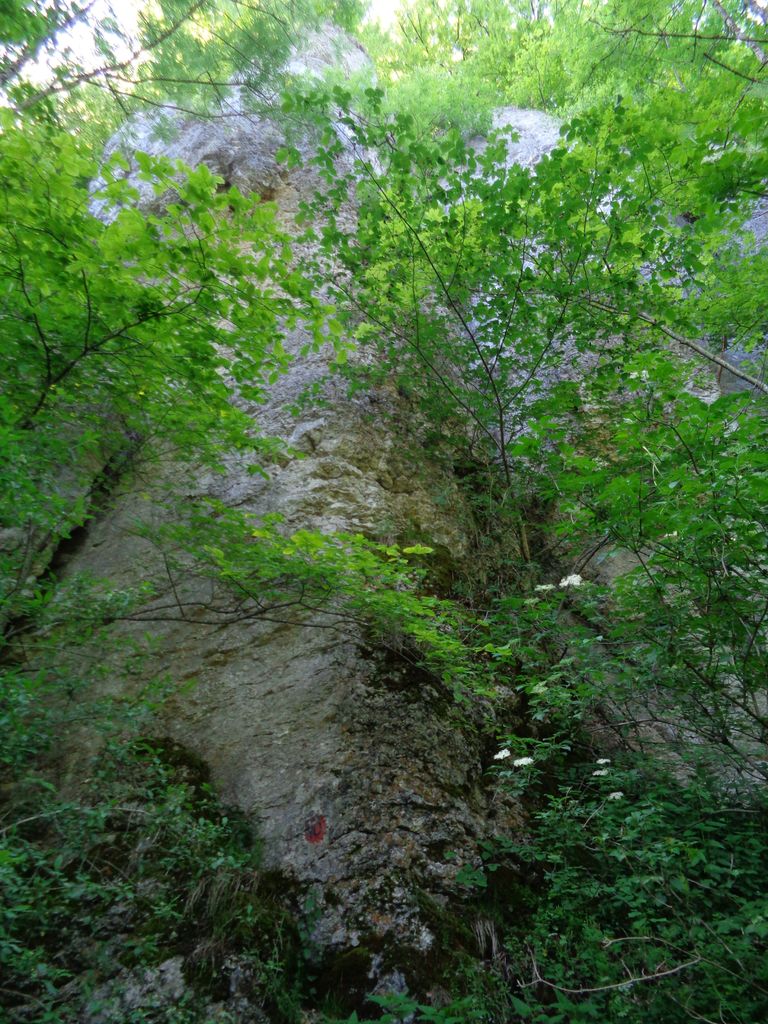 Photo №9 of Schwanbergfelsen