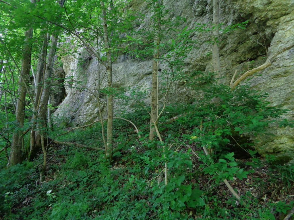 Photo №7 of Schwanbergfelsen