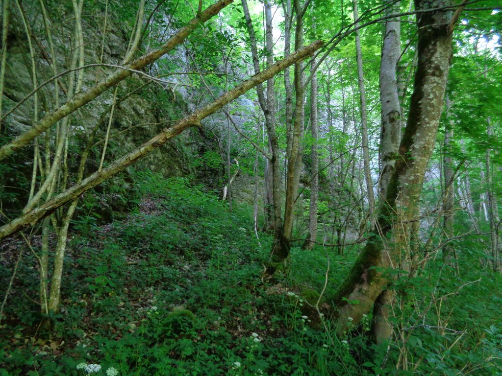 Photo №10 of Schwanbergfelsen