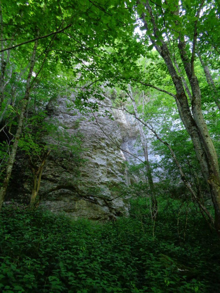 Photo №11 of Schwanbergfelsen