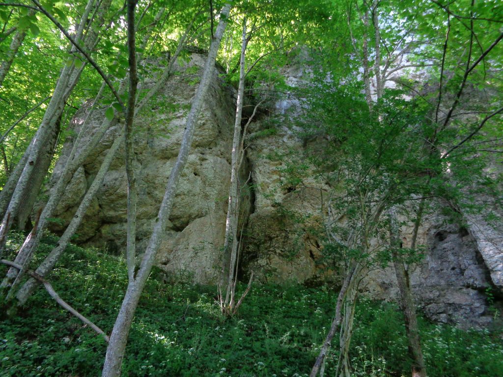 Photo №3 of Schwanbergfelsen