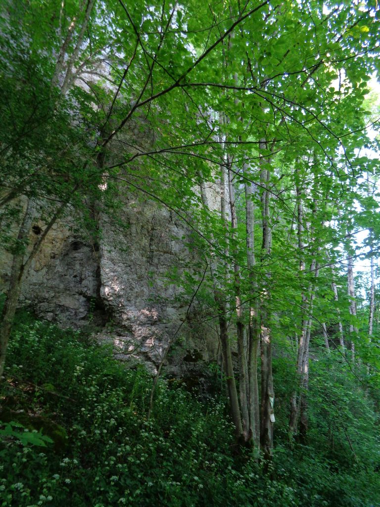 Photo №2 of Schwanbergfelsen