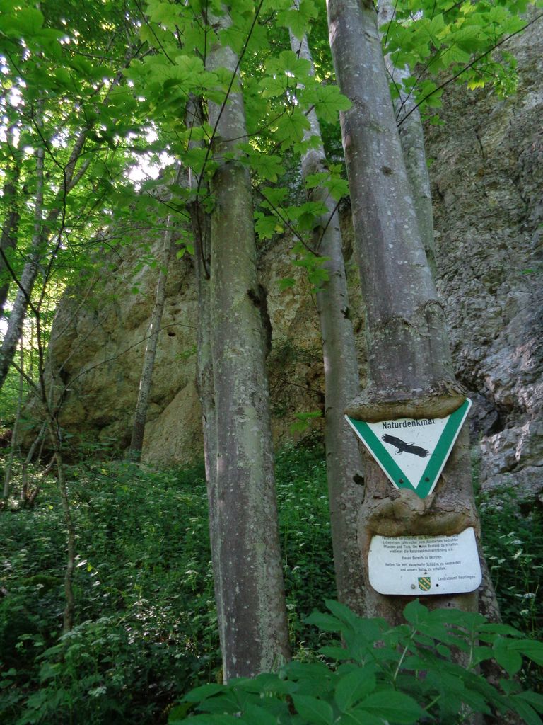Photo №5 of Schwanbergfelsen