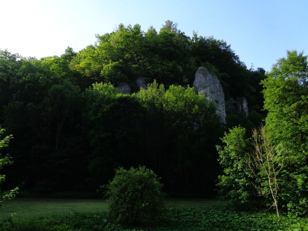 Photo №6 of Schwanbergfelsen