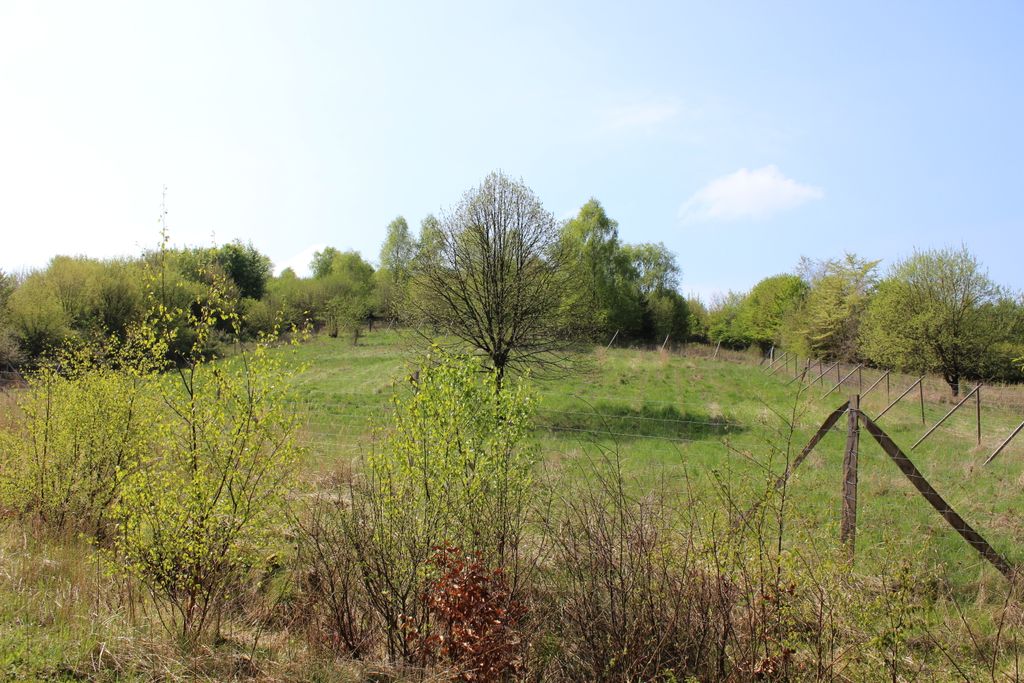 Photo №2 of Hühnerfeldberg