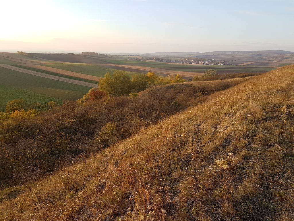 Photo №11 of Dernberg