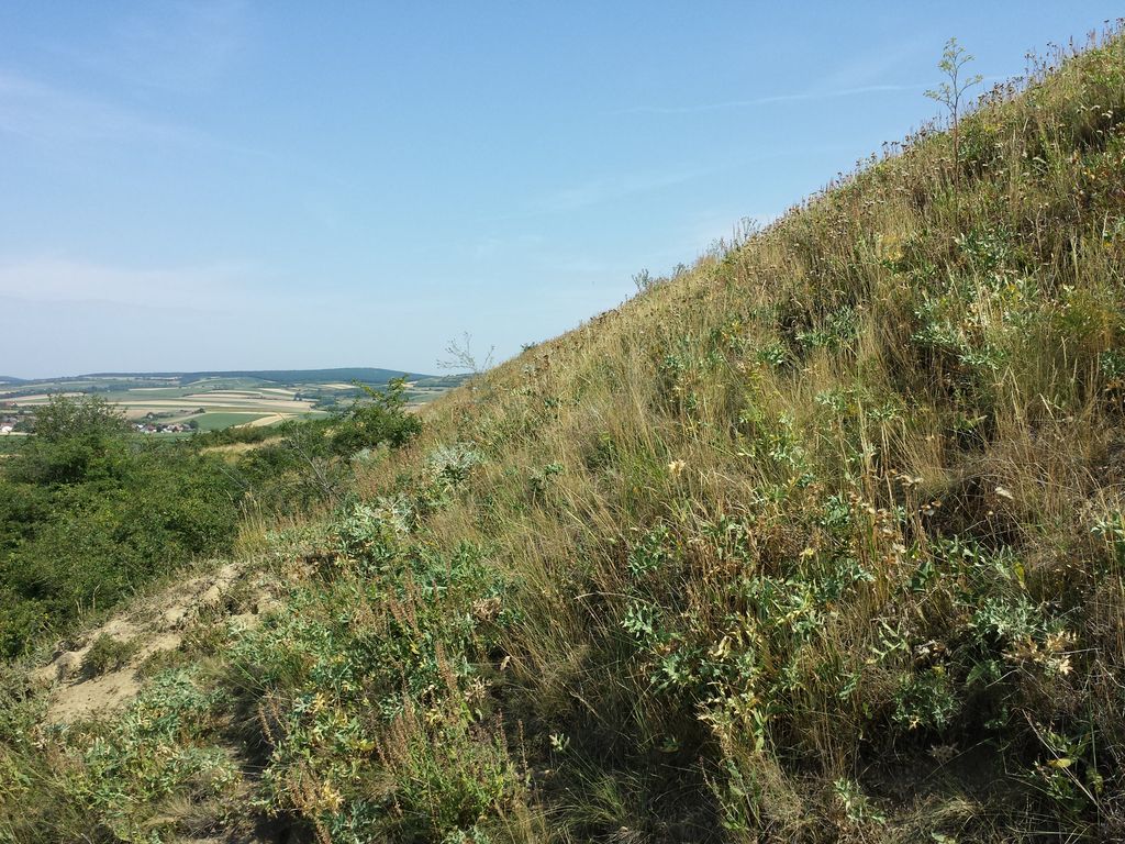 Photo №4 of Dernberg