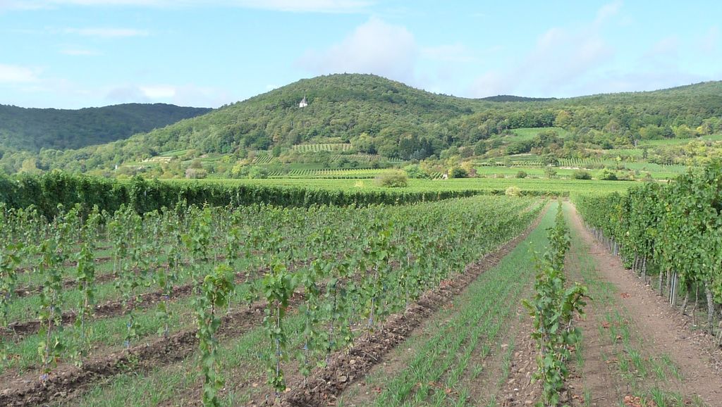 Kirchberg