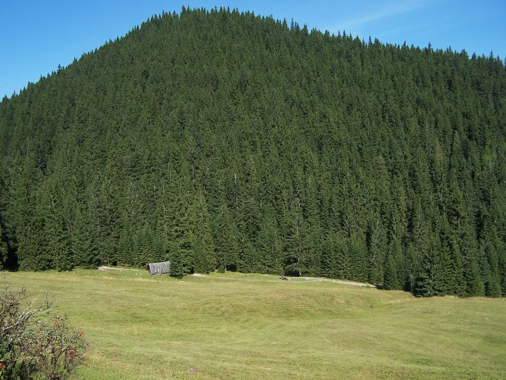 Photo №2 of Diabliniec