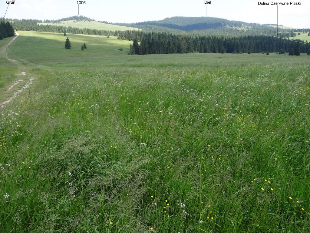Photo №2 of Diel