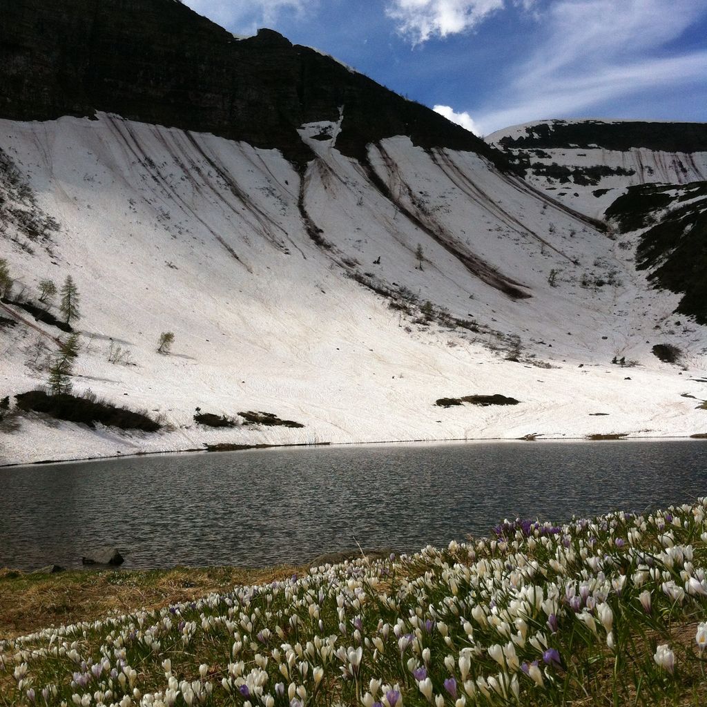 Photo №3 of Laghetto di Mignolo Alto